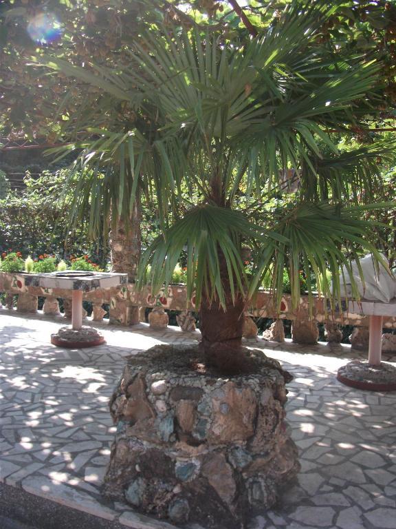 בודווה Radonjic Apartments מראה חיצוני תמונה